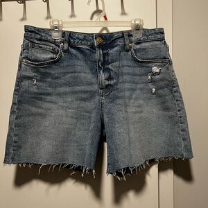 Kut From The Kloth Denim Shorts